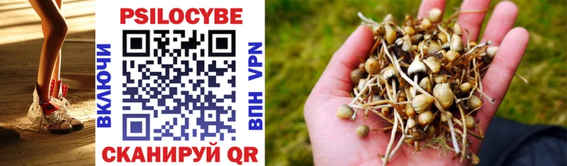 Псилоцибиновые грибы MAGIC MUSHROOMS купить наркотики сайты Дудинка